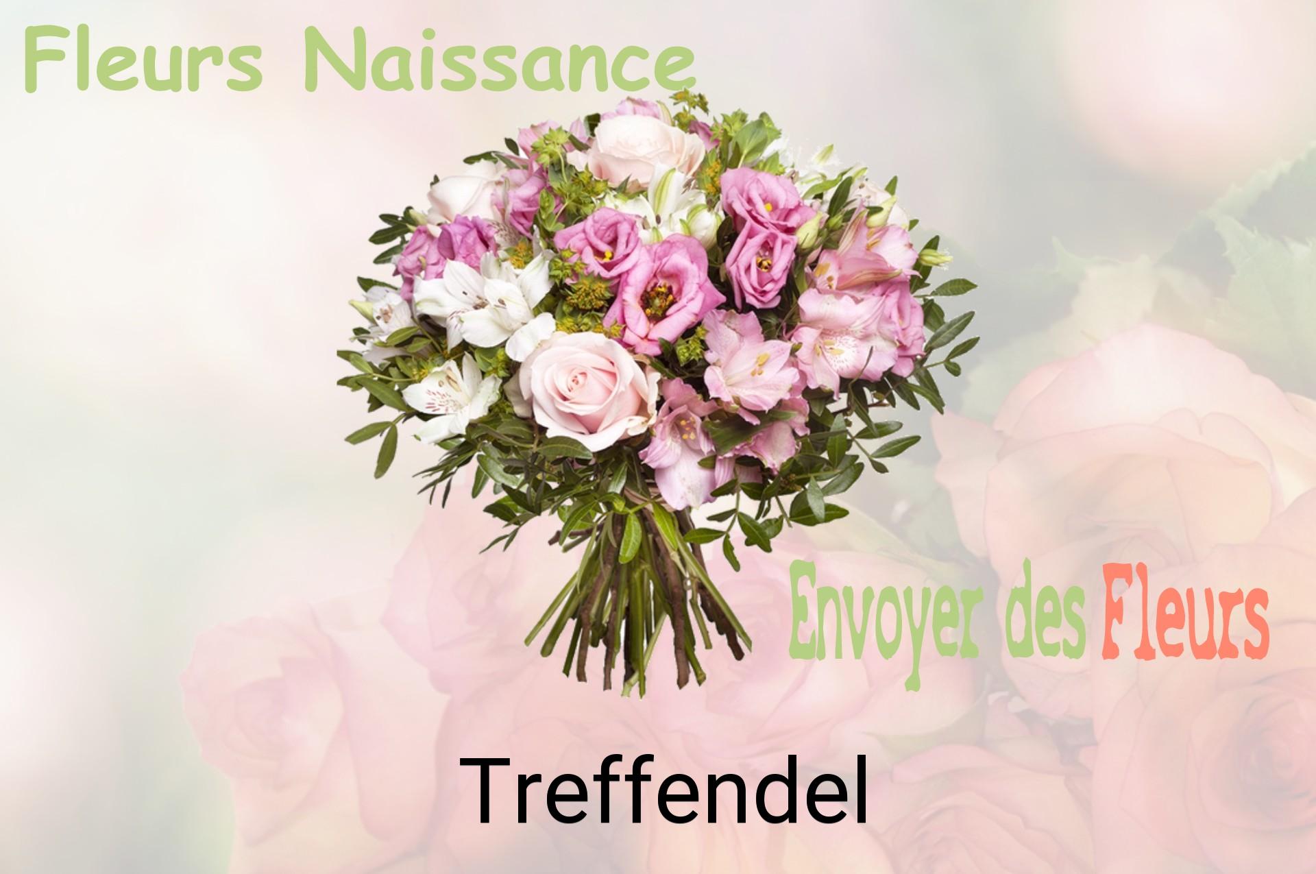 Bouquet de fleurs de naissance livré à Treffendel
