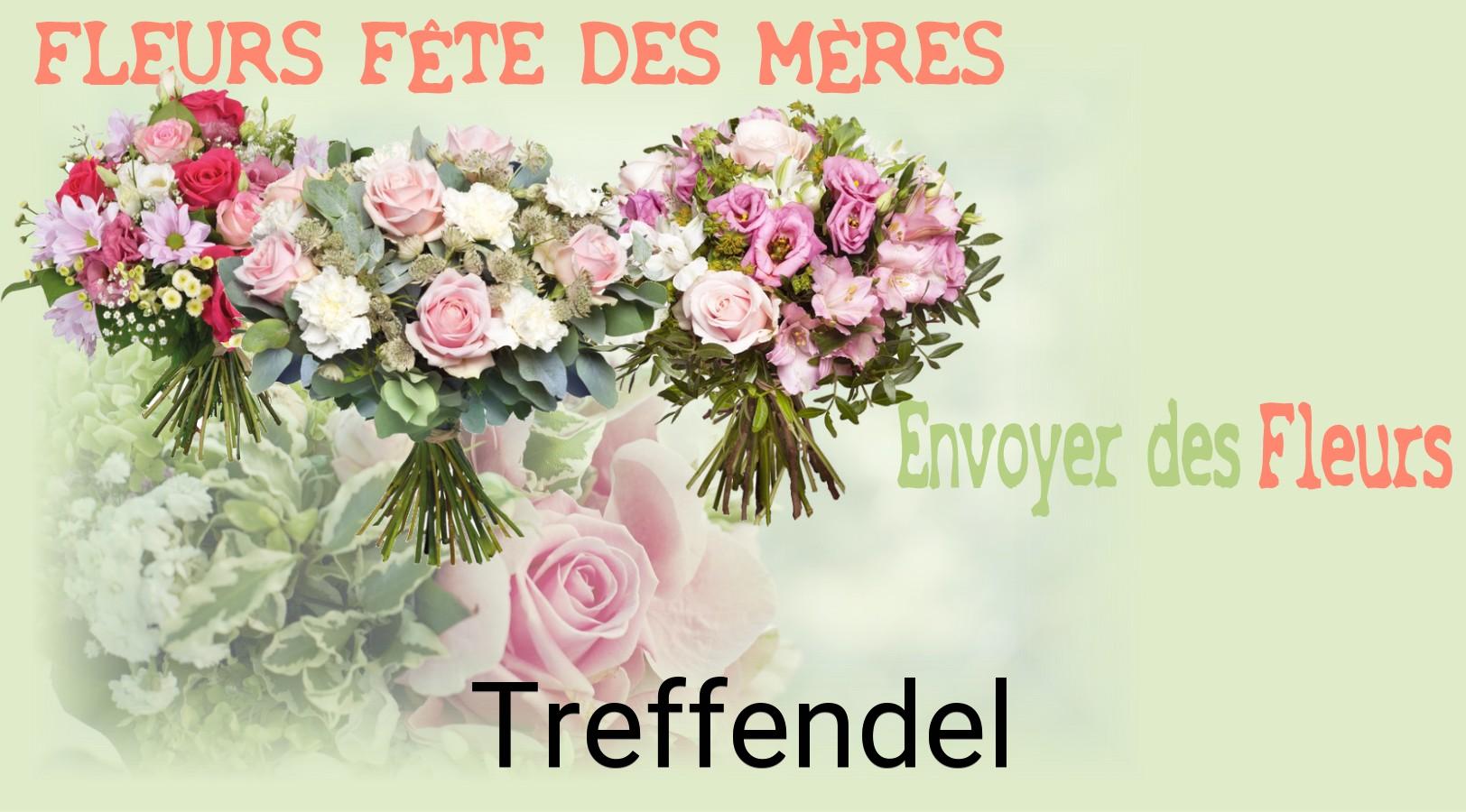 Bouquet de Fête des Mères livré à Treffendel